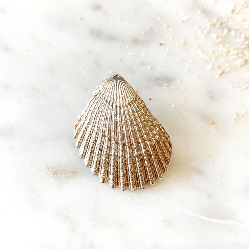 shell  earrings