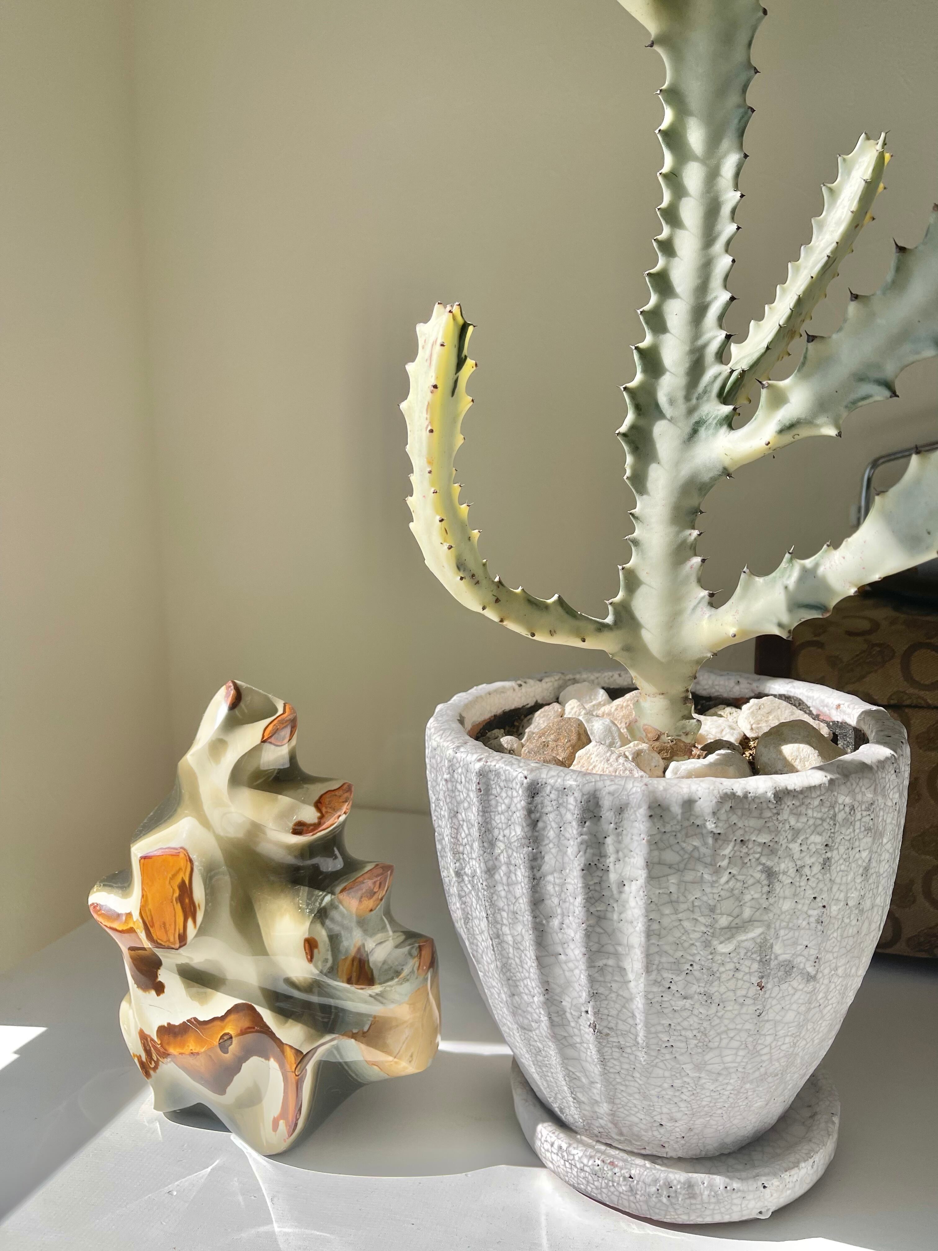 ポリクロームジャスパーフレイム　