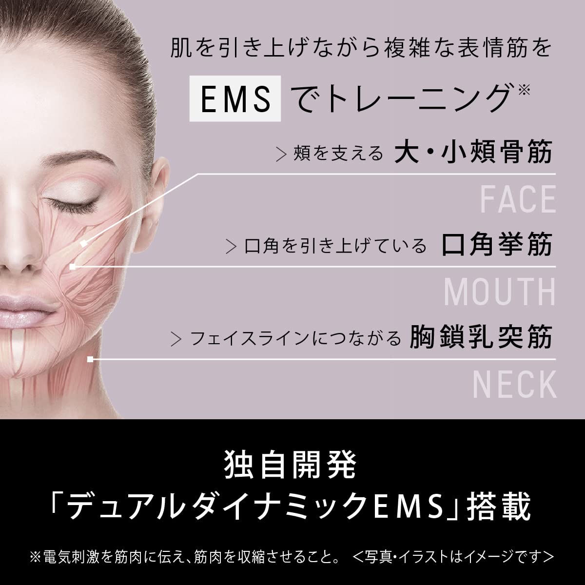 パナソニック リフトケア 美顔器 バイタリフト かっさ 温感 デュアル