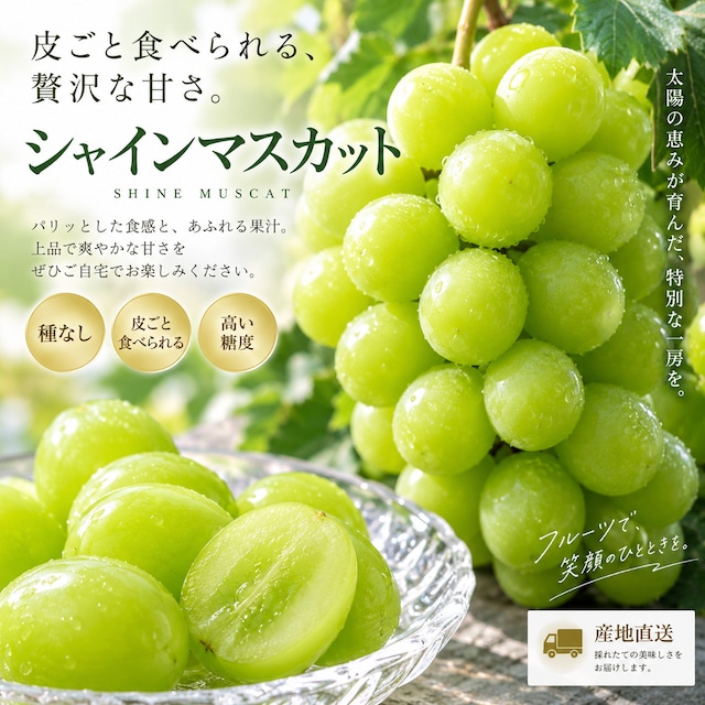 岡田農園 露地 シャインマスカット 約1.8kg
