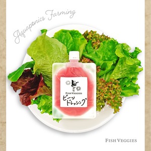 【北海道産ビーツ使用】ど発酵ビーツドレッシングとミックスレタスのセット