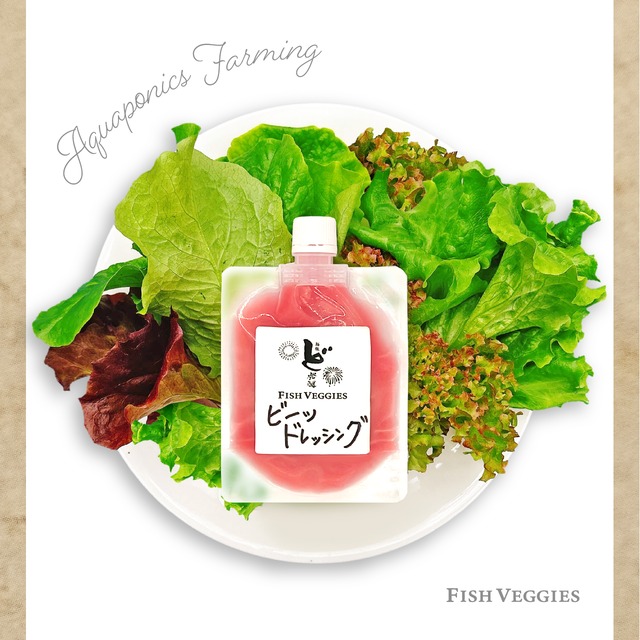 【北海道産ビーツ使用】ど発酵ビーツドレッシングとミックスレタスのセット