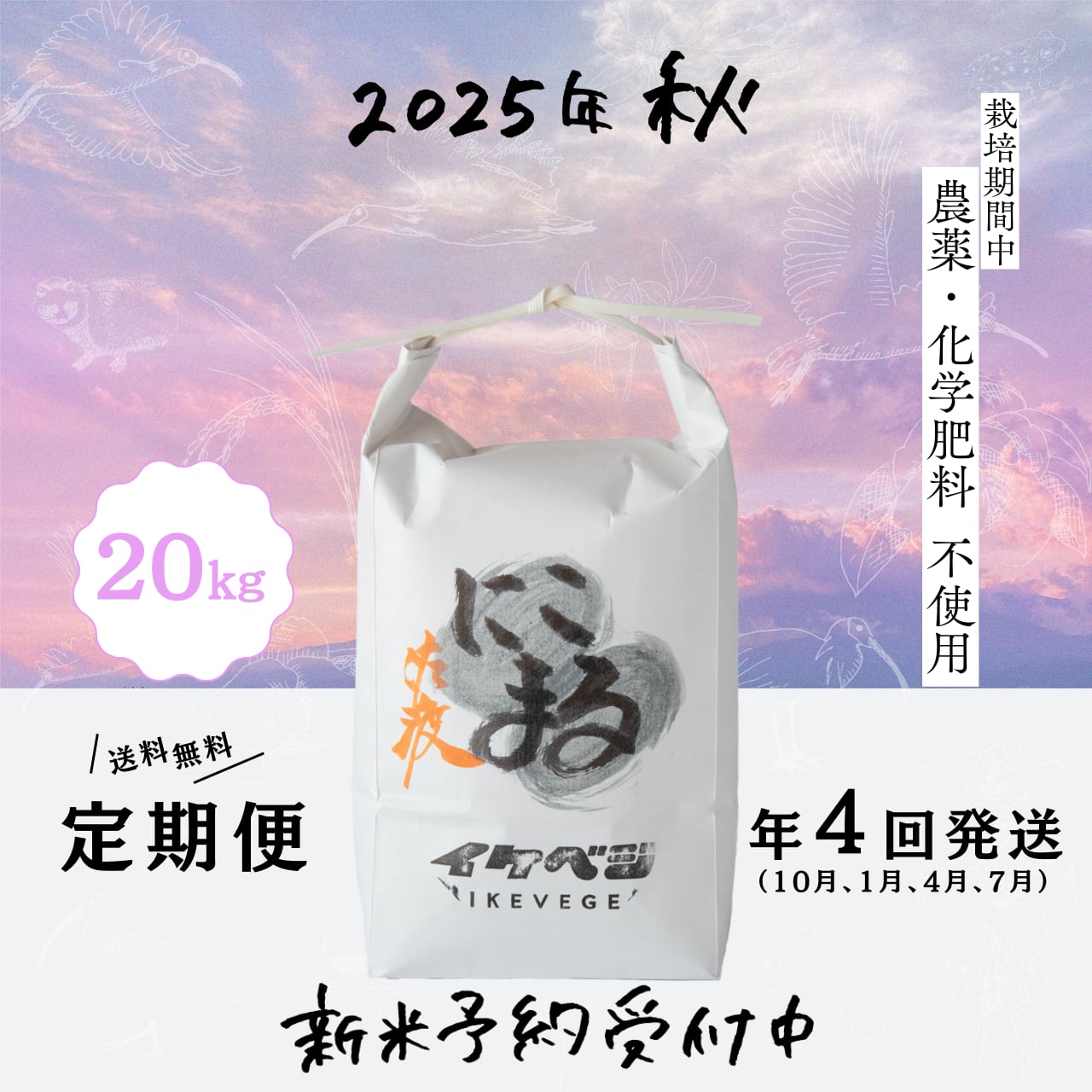 ぺぺ様専用ななつぼし20キロ 【公式通販】