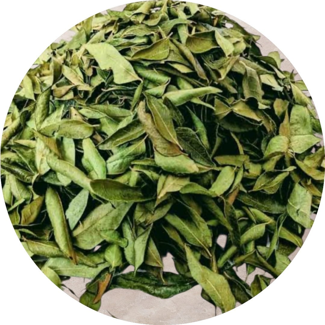 カレーリーフ 100g Curry Leaf | 王寺スパイス（oji spice）カレー屋の
