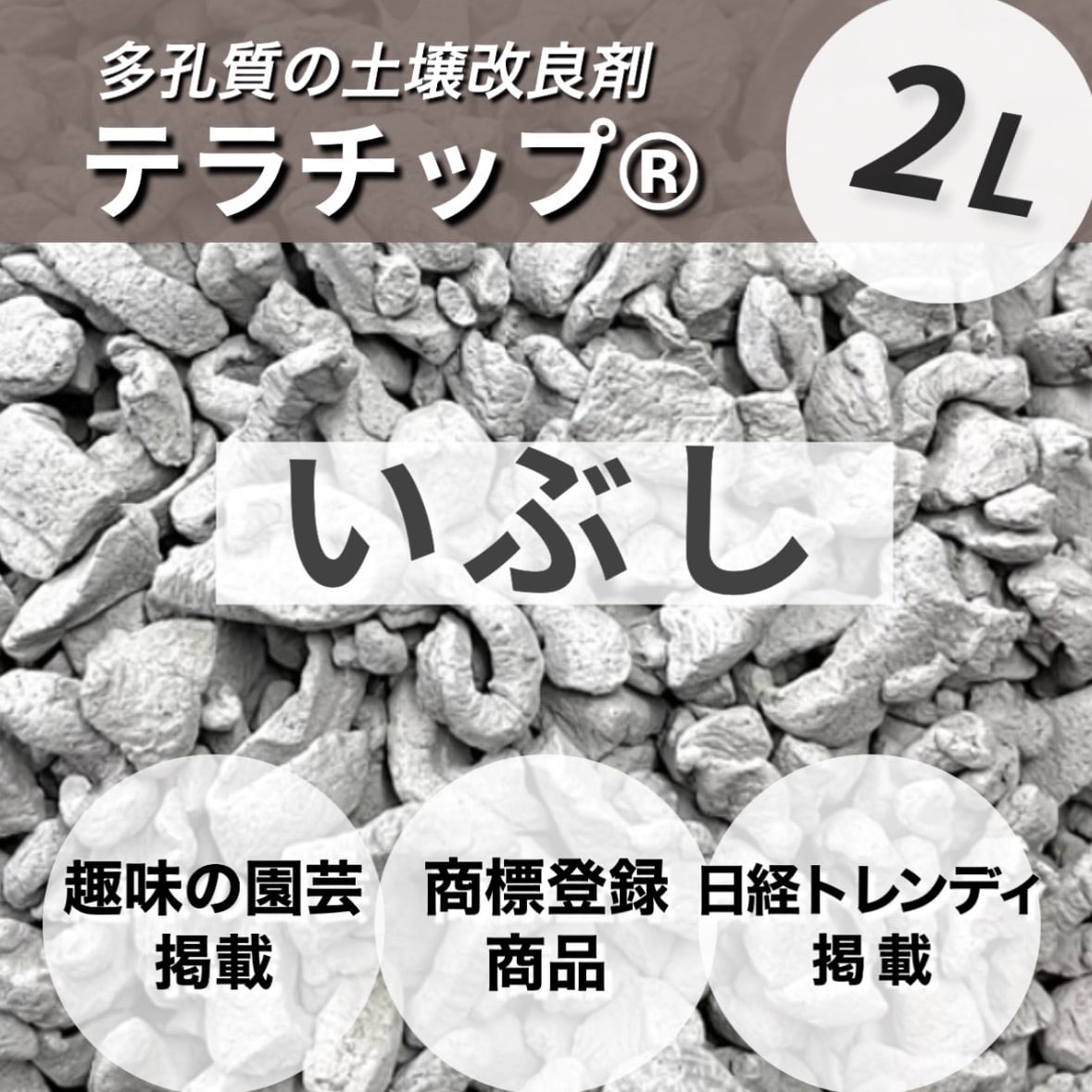 イブシ 2L【テラチップ®️】