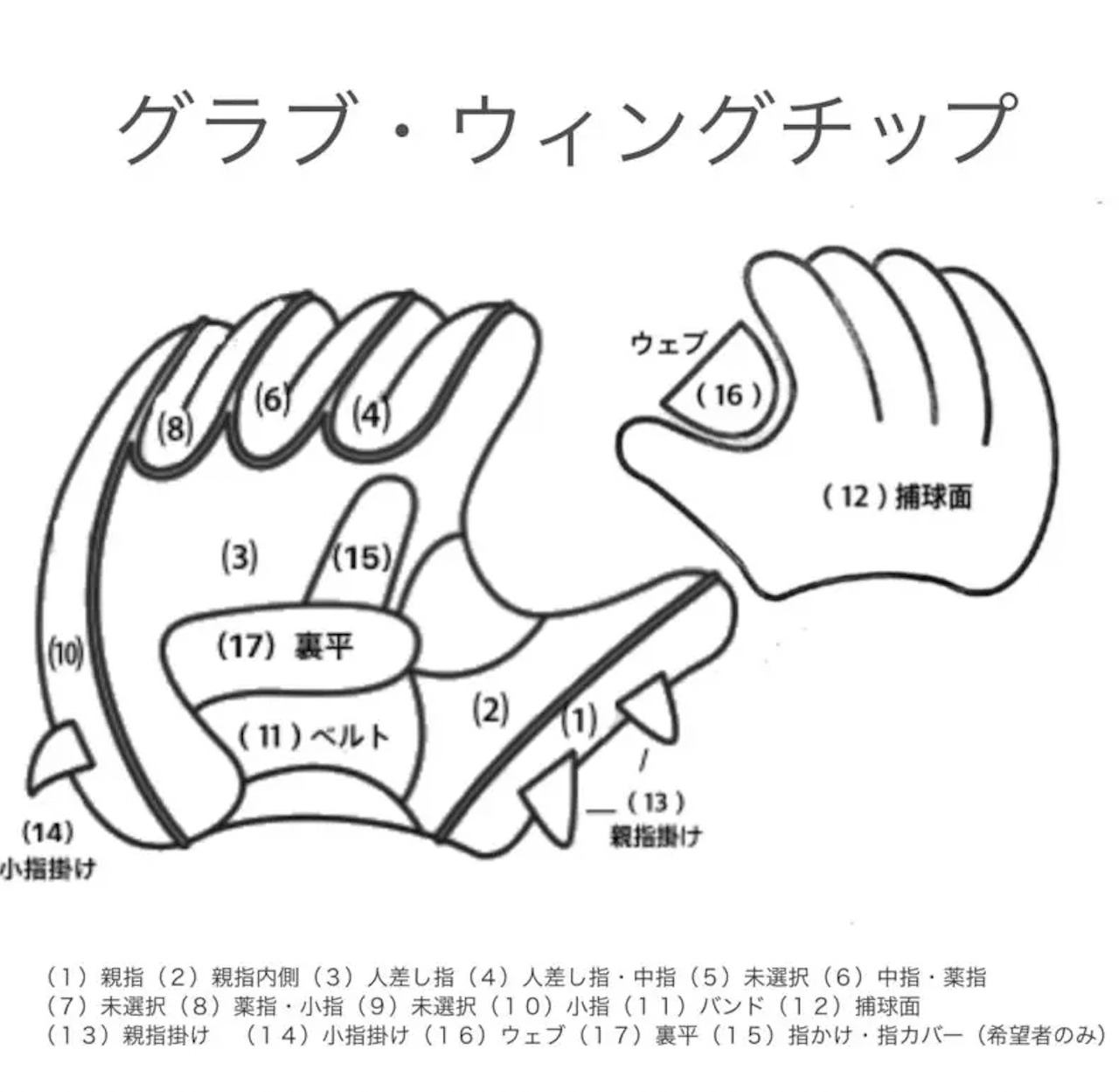 【軟式：投手用オーダー】KNS-03モデル