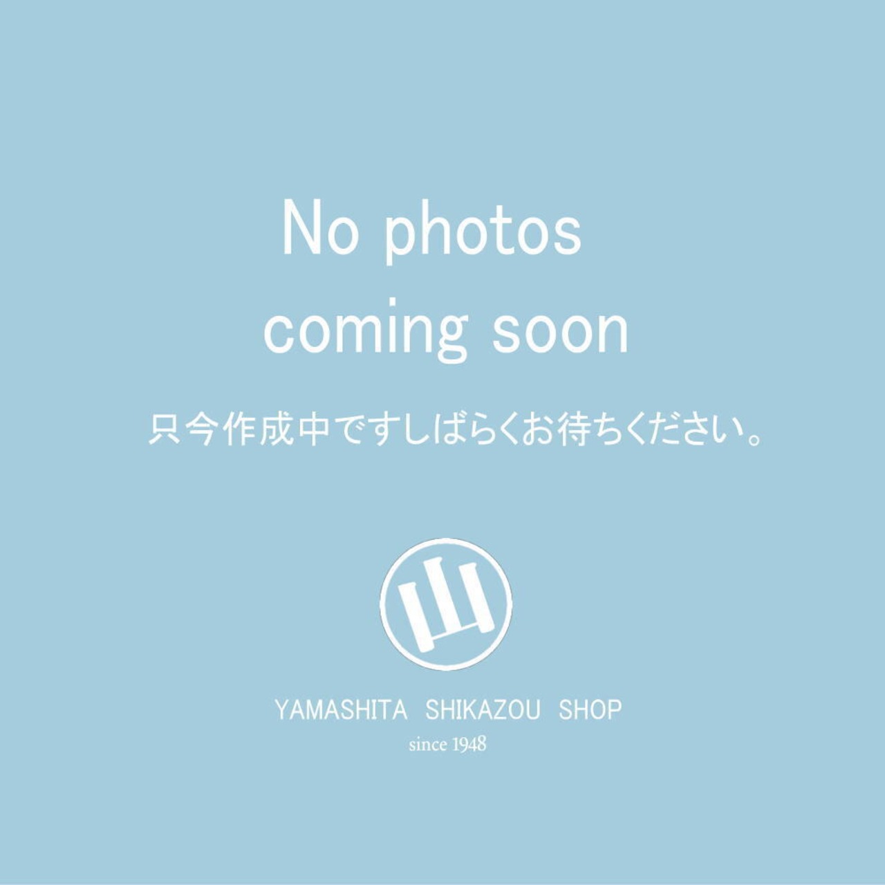 するめソーメン　70g