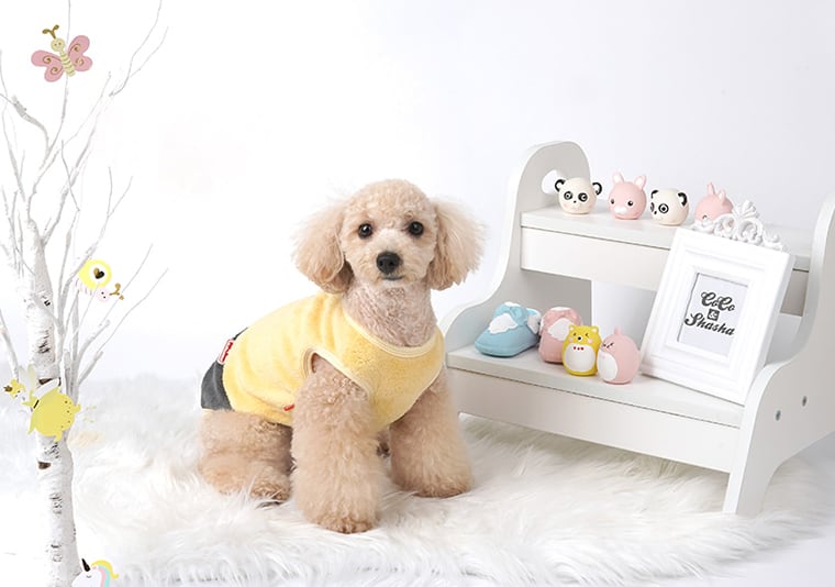 faceトップス 2color S ~ 2XL / 犬服 秋冬 新作 ドッグウェア 可愛い 犬の服 ペット わんこ服 小型犬 中型犬 猫 top92