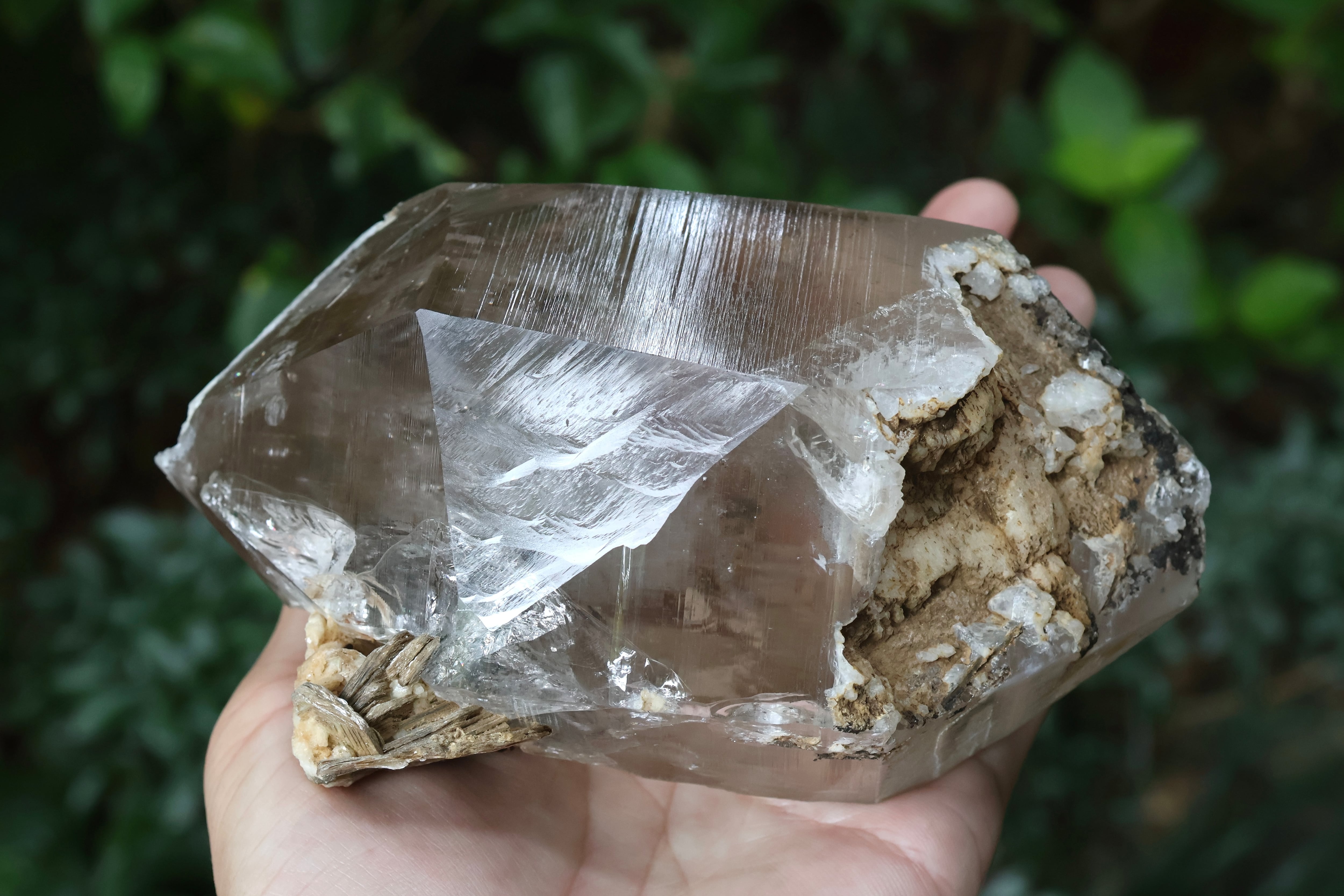 ヒマラヤ水晶 タプレジュン産 虹入り DT