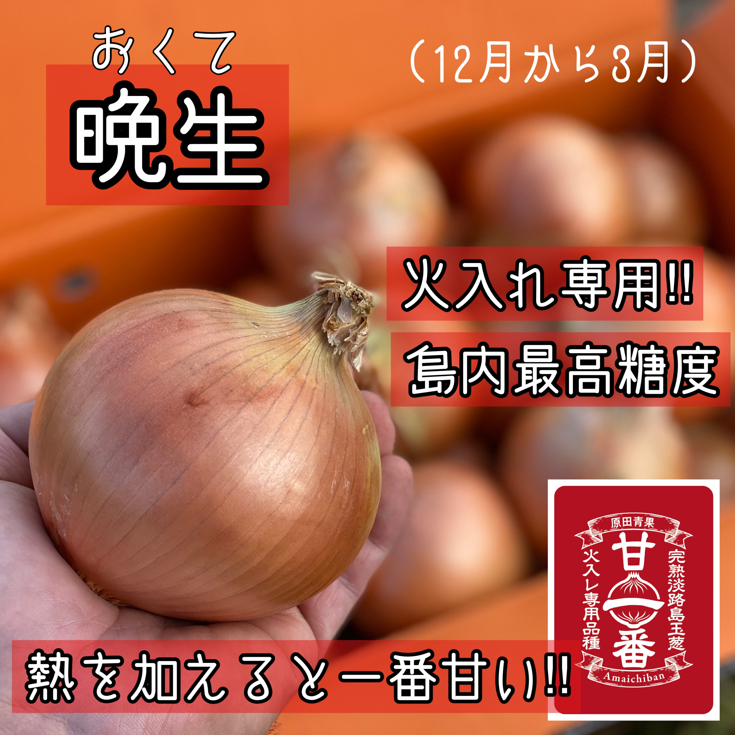 甘一番 3kg 淡路島玉ねぎ 送料・税込み | 原田兄弟の一番玉ねぎ