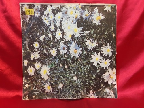 露メロディアのフルベン ベートーベン運命