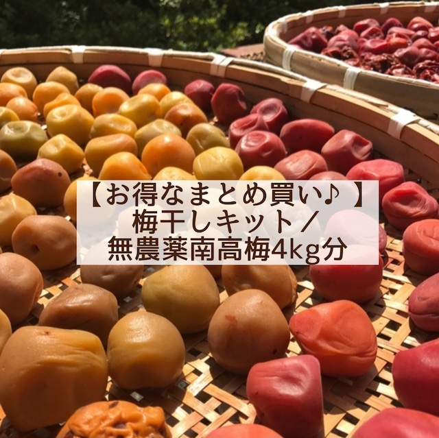 【今季ラスト・数量限定】梅干しキット／無農薬南高梅4kg分まとめ買い