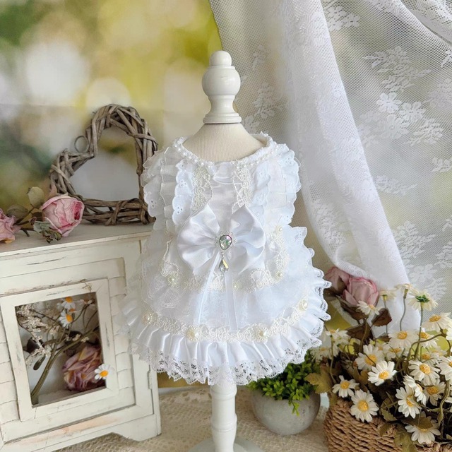 white jewel ribbon dress