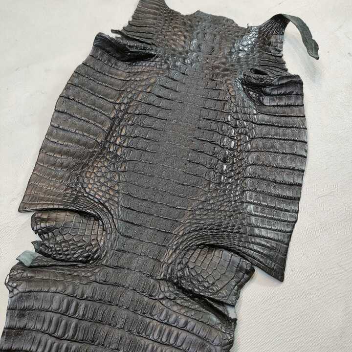 ワニ革（カイマン）【約26cm幅】 C1F-014 ※浅草橋中央店販売商品 | and