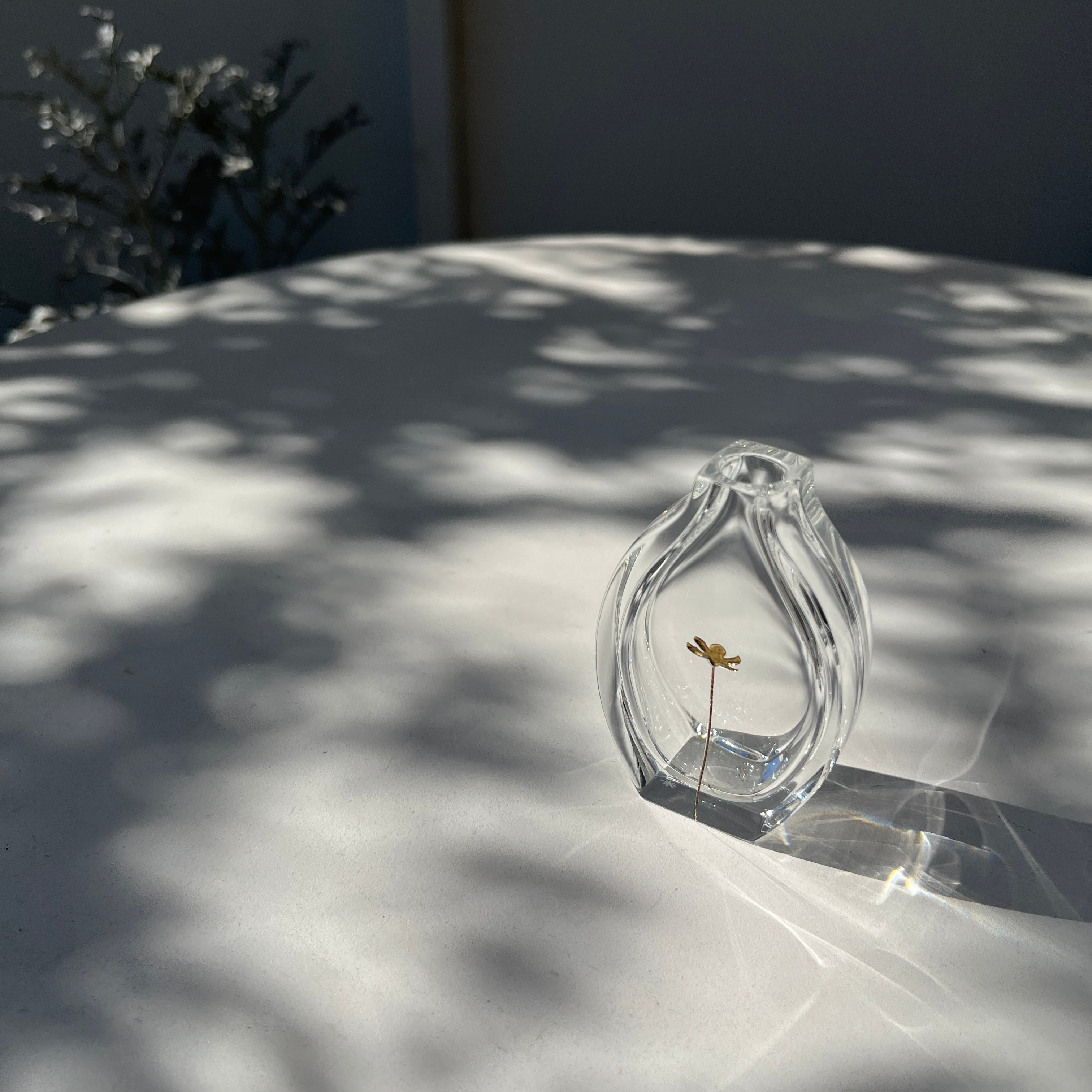 作家作品 | ihana design(イハナデザイン）