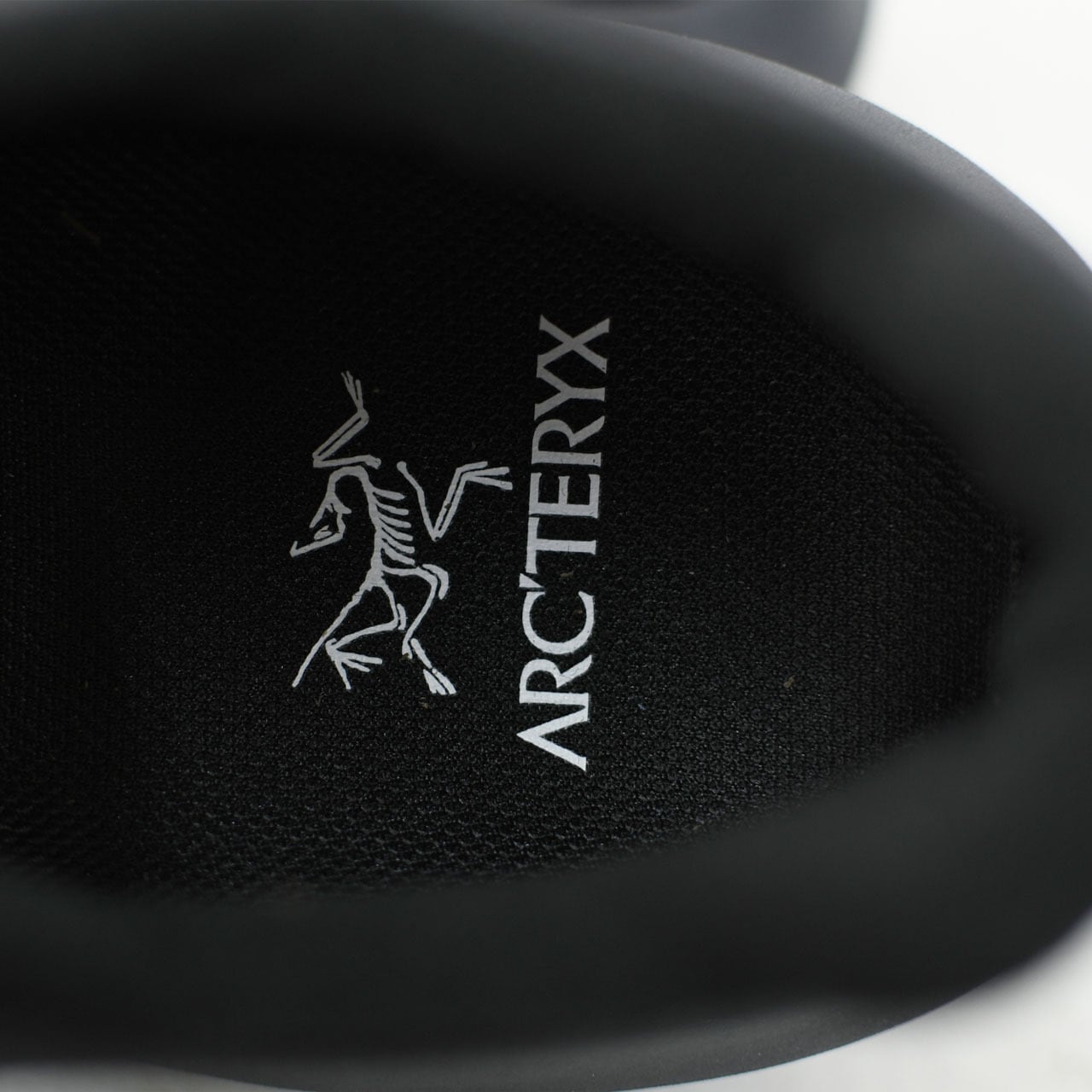 ARC'TERYX [アークテリクス正規代理店] NORVAN LD 4 M [X000009614
