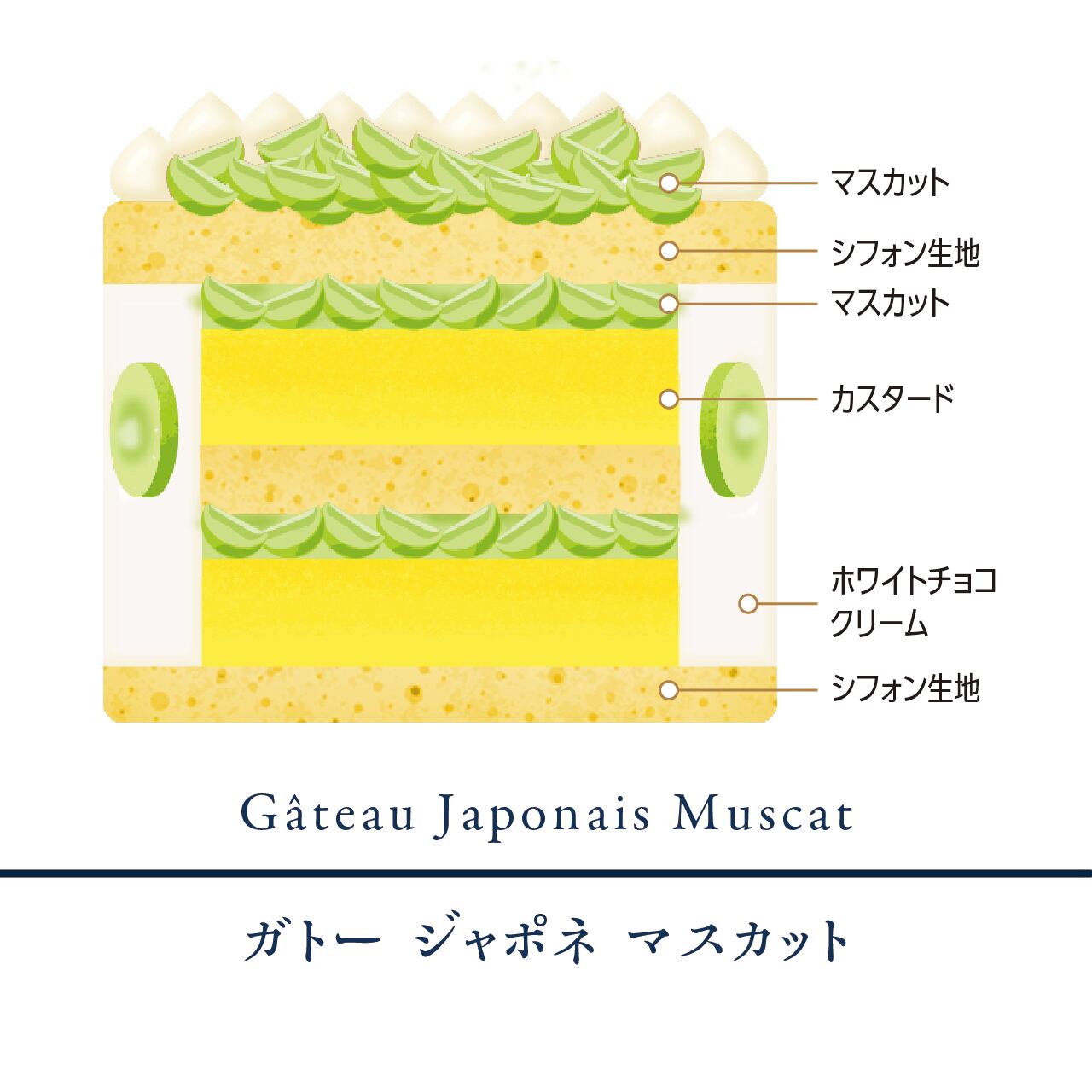 爽やかに弾ける、旬マスカット】ガトー ジャポネ マスカット