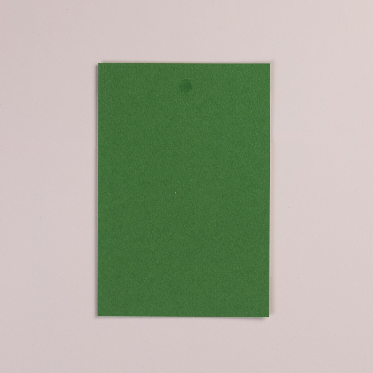 < Riie / ワカイリエ > ドローイング原画「今日は厚あげ」