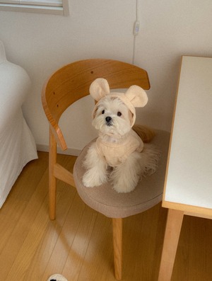 予約【ounce】Terry Bear Vest (Cream)