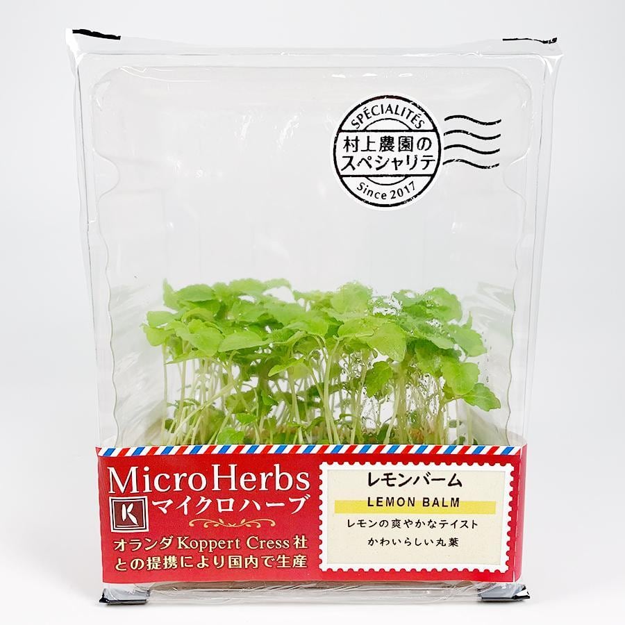 レモンバーム マイクロハーブ 村上農園 Murakami Farm | 夜の八百屋