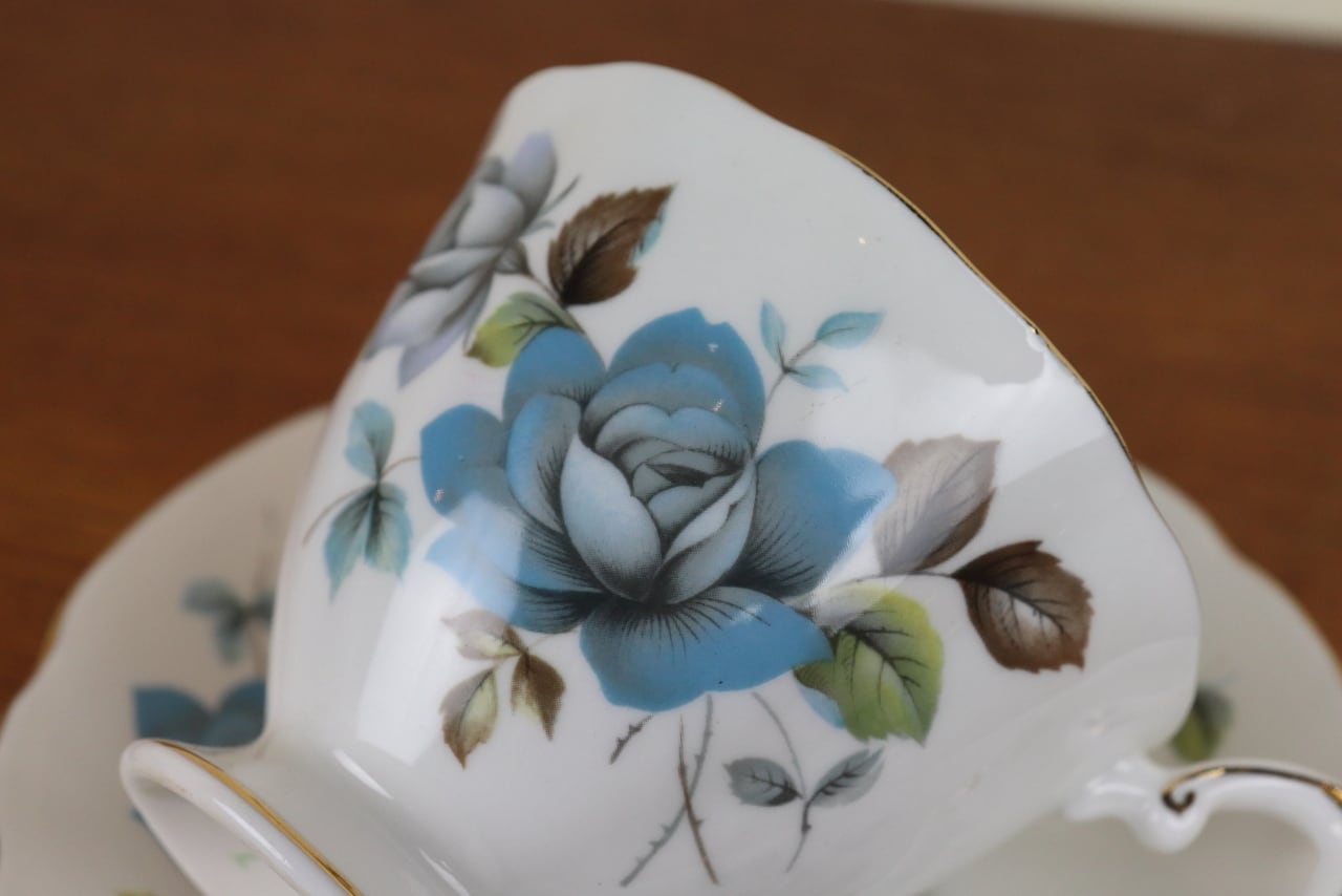 パラゴンParagon✧スーピエール✧ソーシエール✧大皿✧食器セット.。.:*♡ パラゴンParagon✧スーピエール✧ソーシエール✧大皿✧食器セット