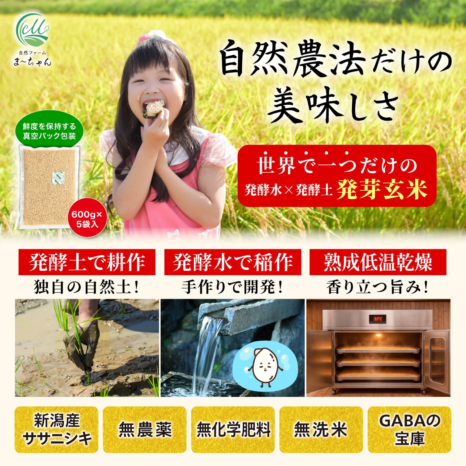 ま〜ちゃん発芽玄米【自然農法 ササニシキ】無洗米 無農薬 無肥料米