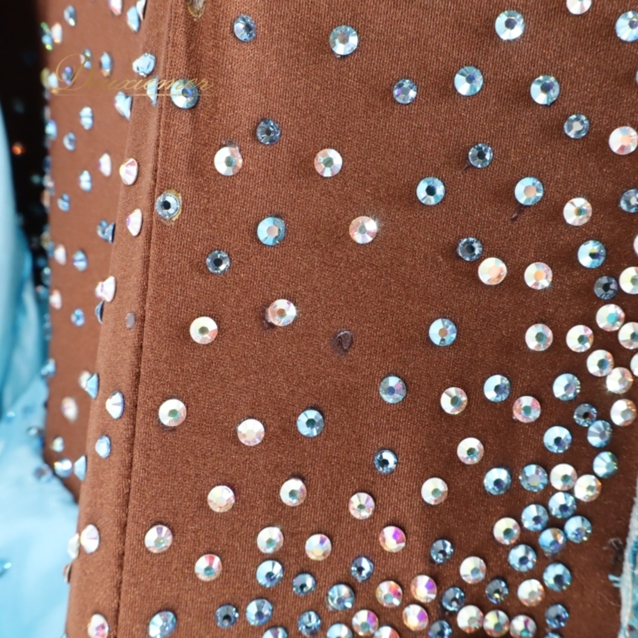 社交ダンス 衣装 クリスアン chrisanne スタンダードドレス スタンダード ドレス ワンピース 茶色 水色 フロート デモ 競技 ダンス パーティ 発表会 ブラウン系 ブルー系 花 フリル レース スカート 豪華 デザイン プリーツ 上品 競技用 衣装 エレガント ダンス衣装