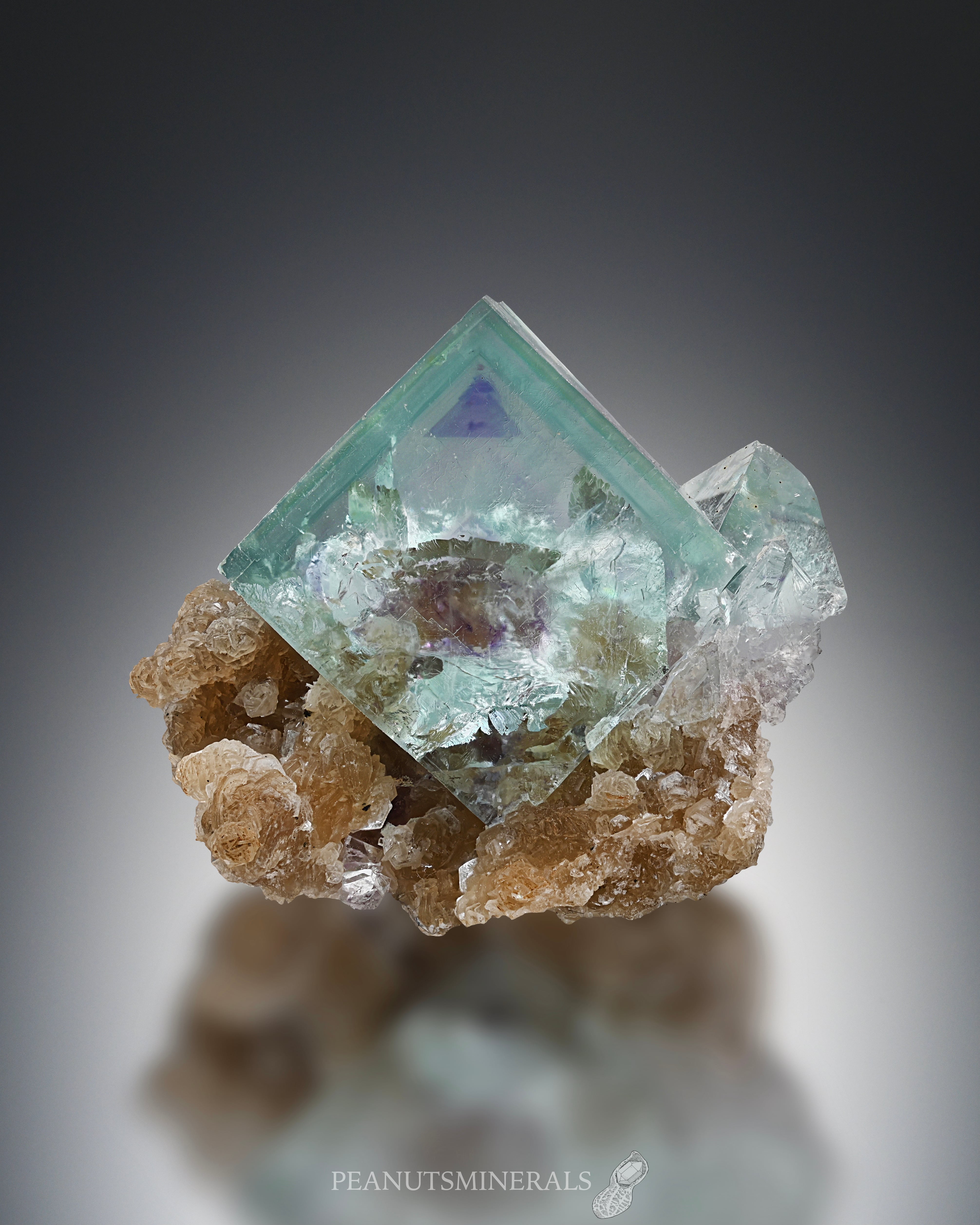 フローライト【Fluorite on Muscovite】中国産 | PEANUTS MINERALS powered by BASE