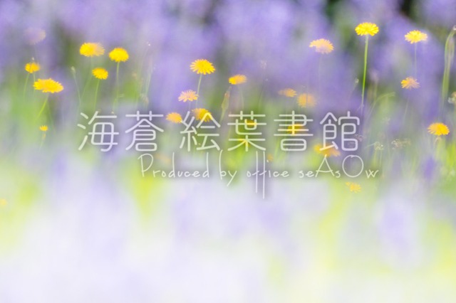 【ポストカード】ひみつの花園【たんぽぽ】