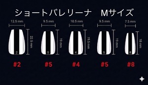 ネイルチップ：IMP260059　NailTipCollection