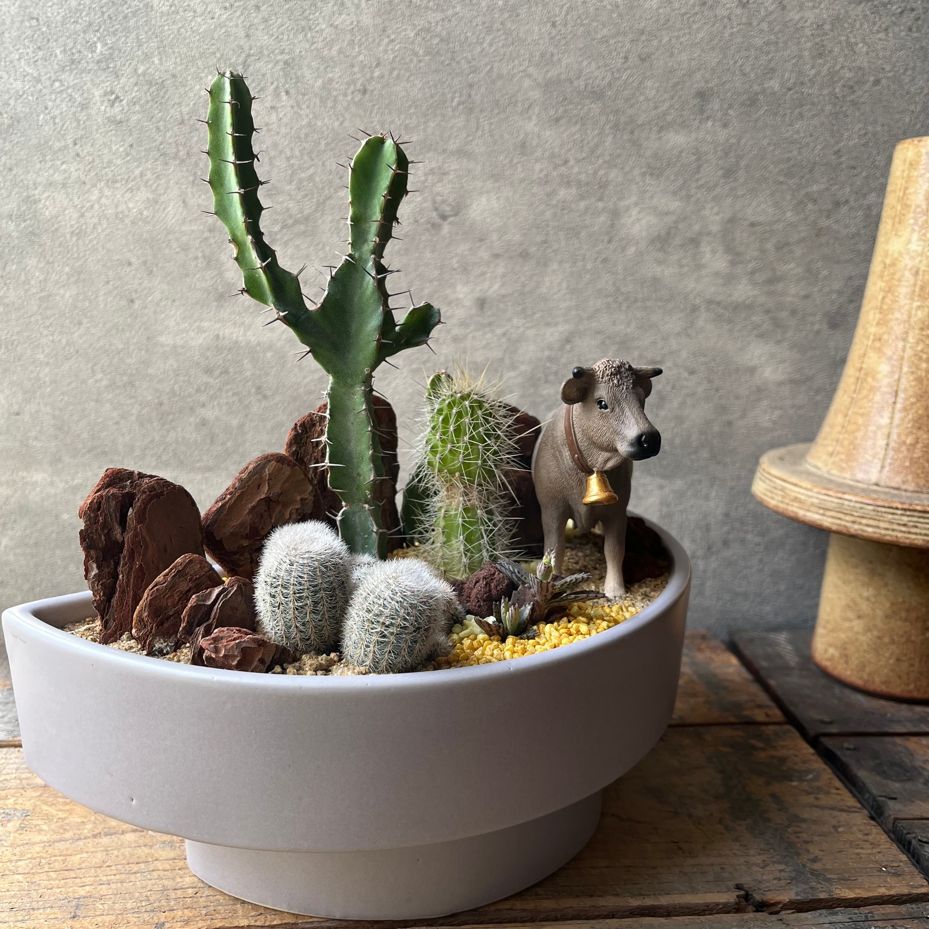 サボテン | SABOTEN MISSILE