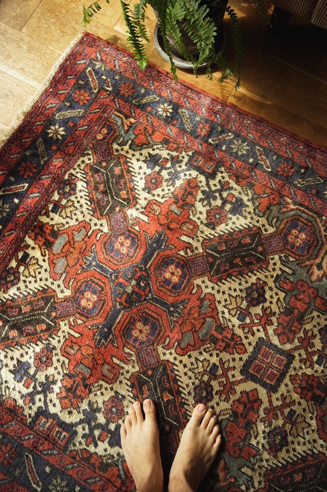 250 -Vintage Kurdish rug