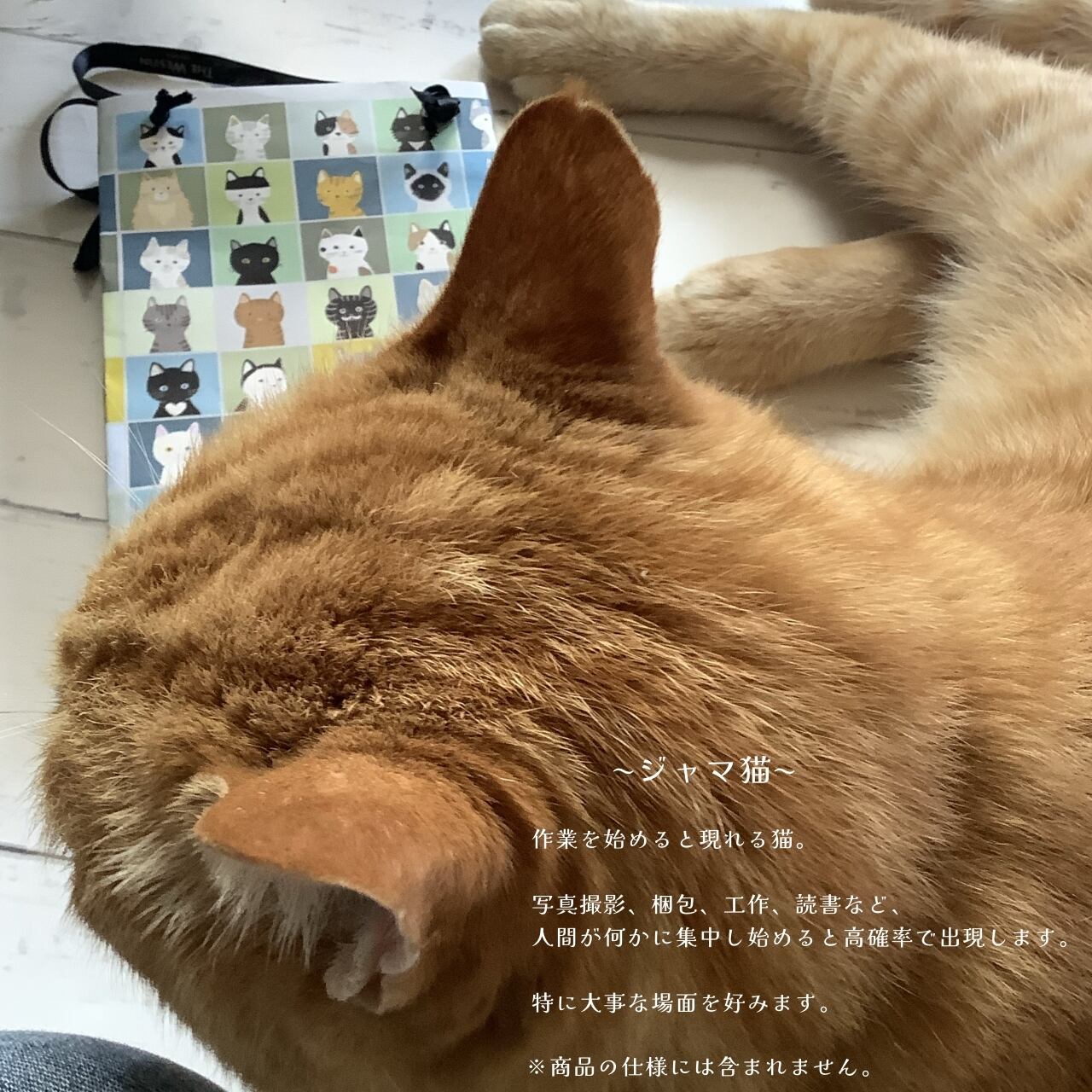 猫たちのリモート会議|イラストペーパー(ダウンロード版)