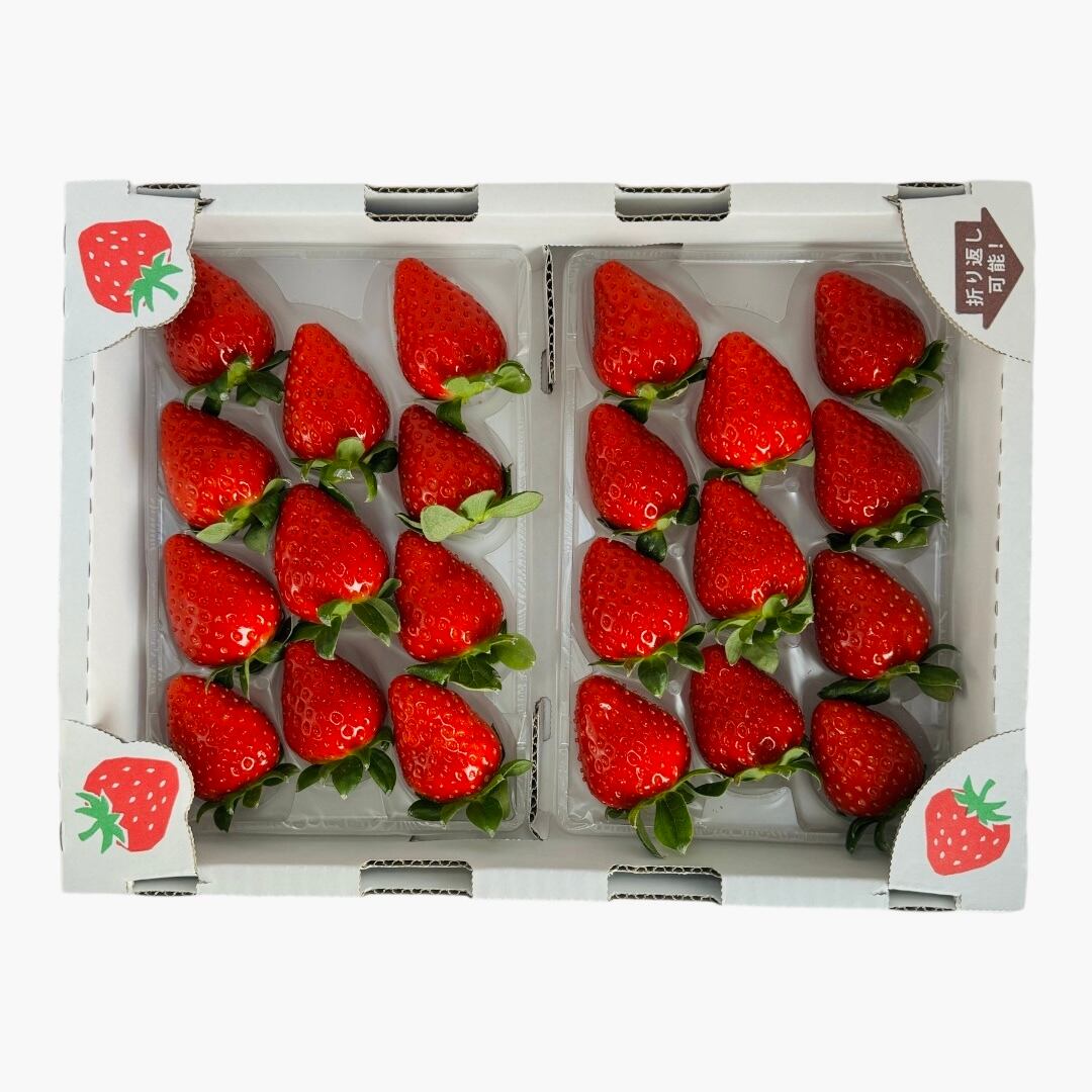 6FARM（ロクファーム）｜奈良の大和イチゴ 古都華