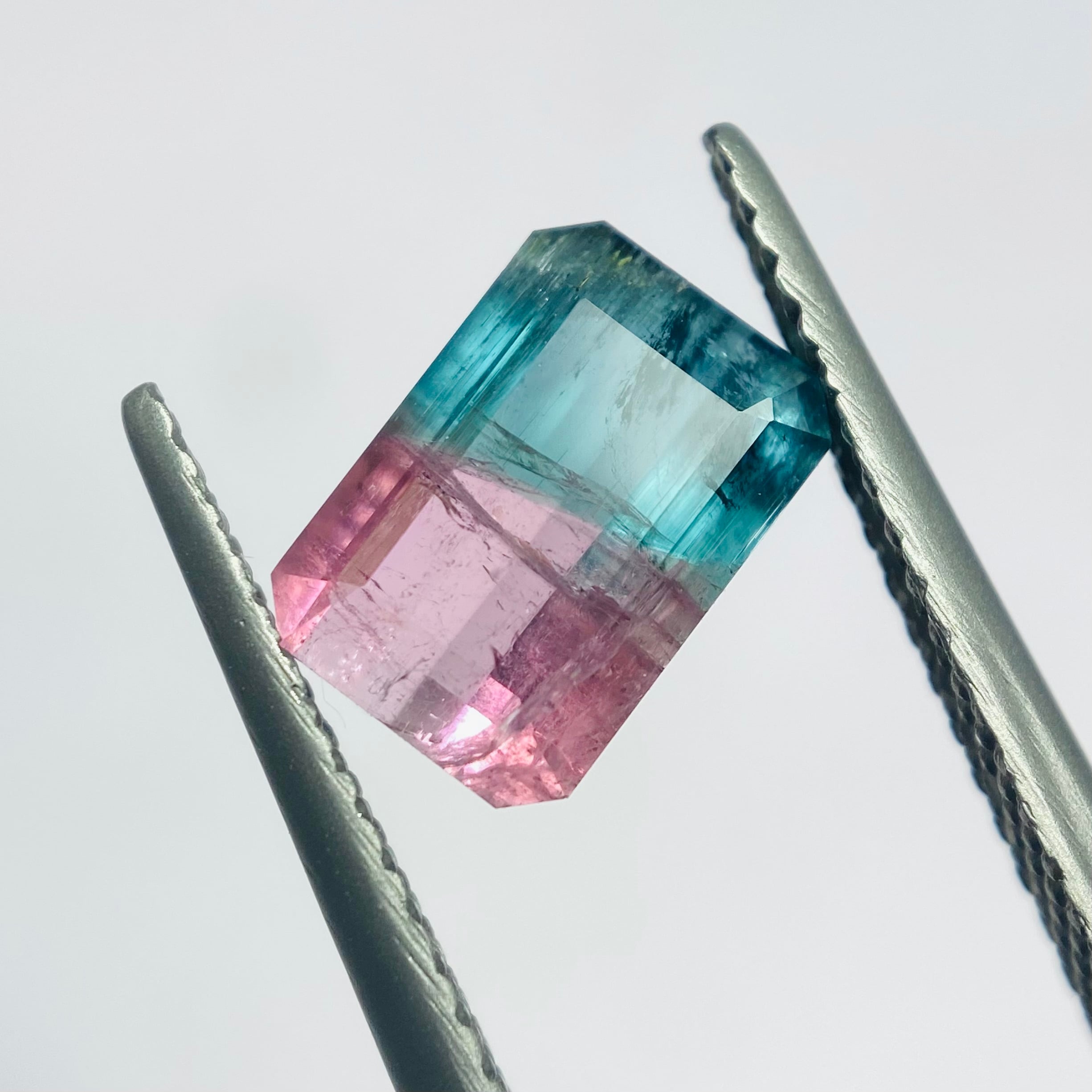 南の海の中 バイカラートルマリン