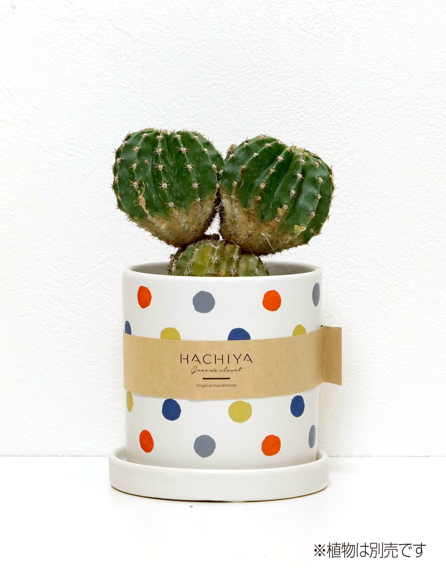 <陶器鉢>Dot colorful Mサイズ ※入荷未定