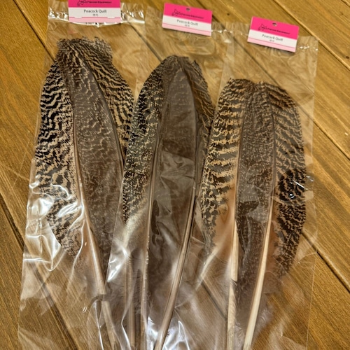 Peacock Quill  徳用パック