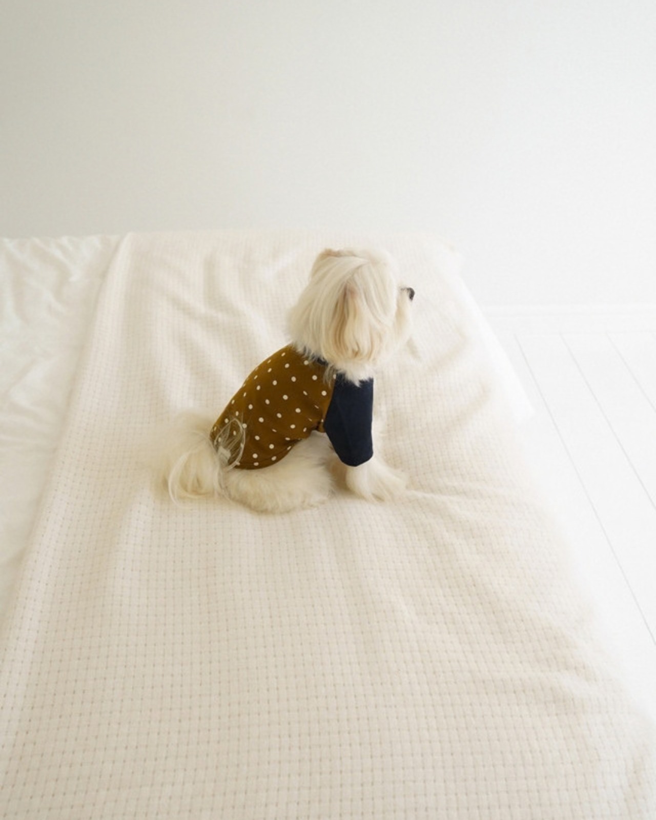 【予約】[ togethering ] Raglan Dot T-Shirt｜Olive - 8