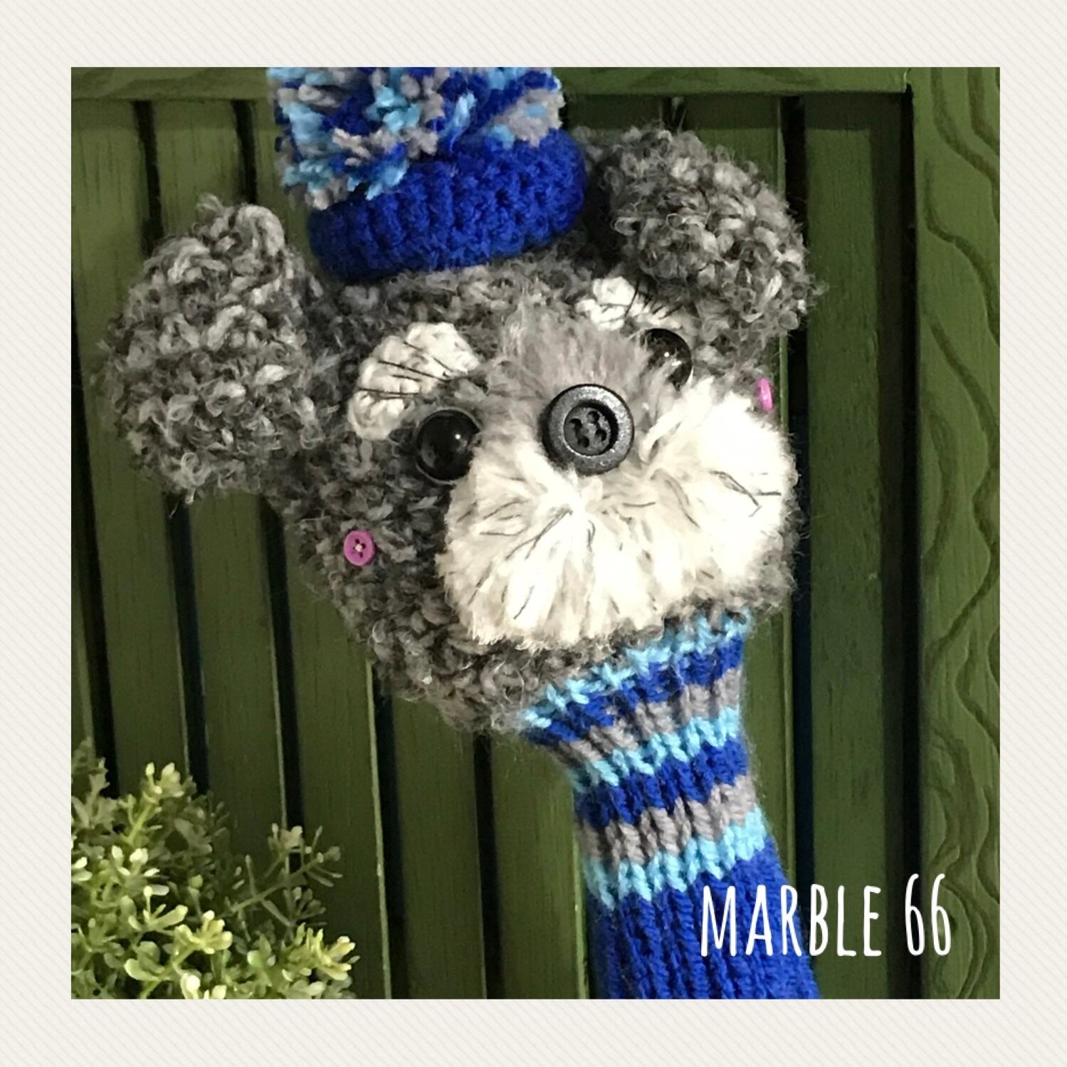 ヘッドカバー　トイプードル とシュナウザーFW ヘッドカバー トイプードル とシュナウザーFW