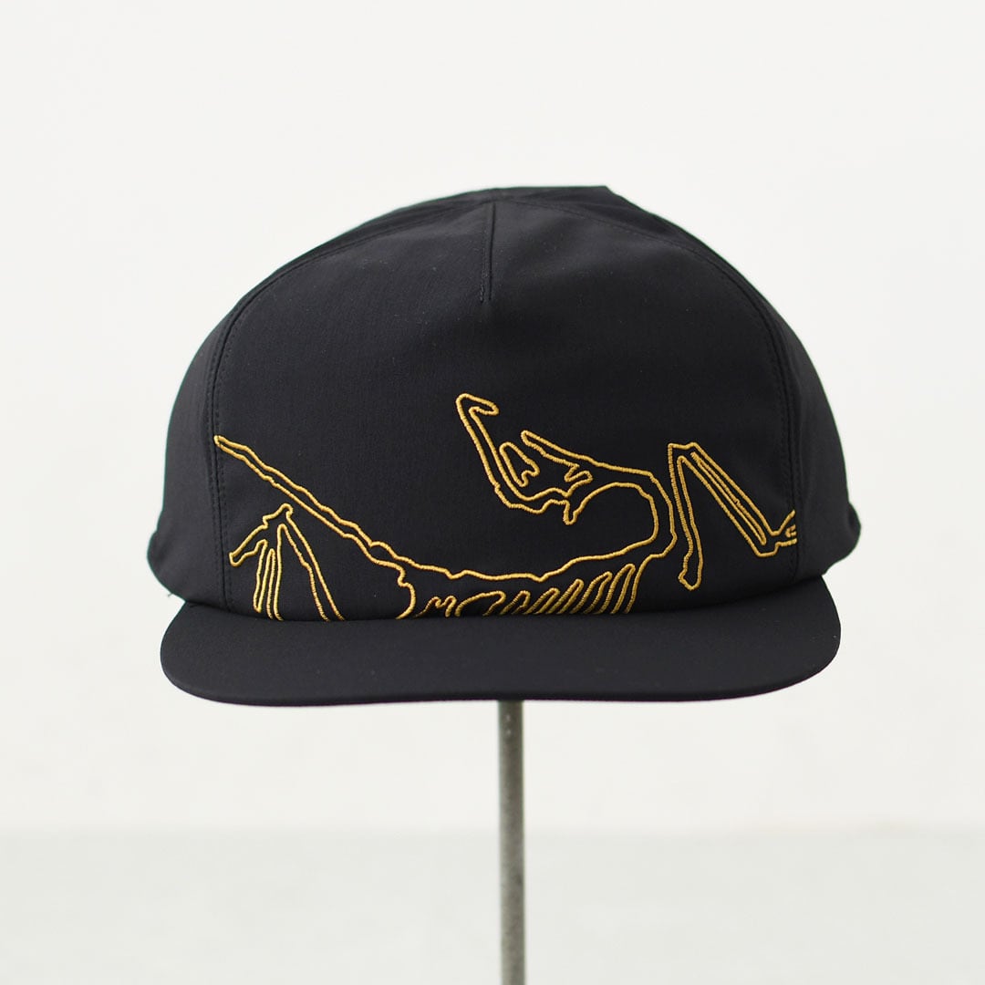 ARC'TERYX [アークテリクス正規代理店] Silex Cap [X000010185