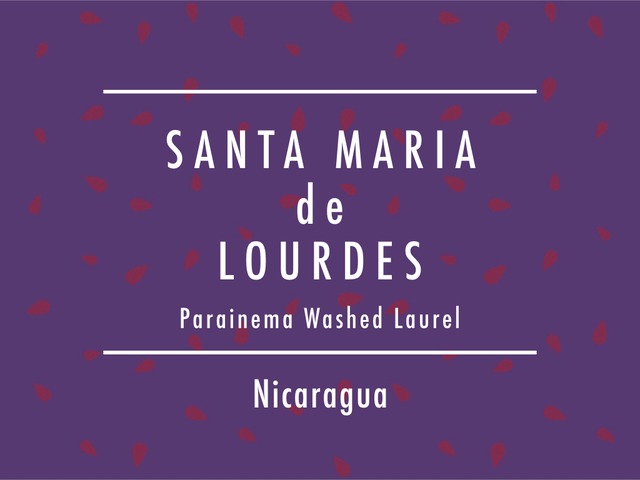 【200g】ニカラグア / SANTA MARIA de LOURDES  Parainema Washed Laurel