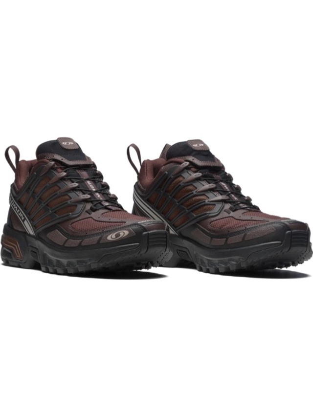 SALOMON 【ACS PRO GTX "Roasted Clay/Black" 】
