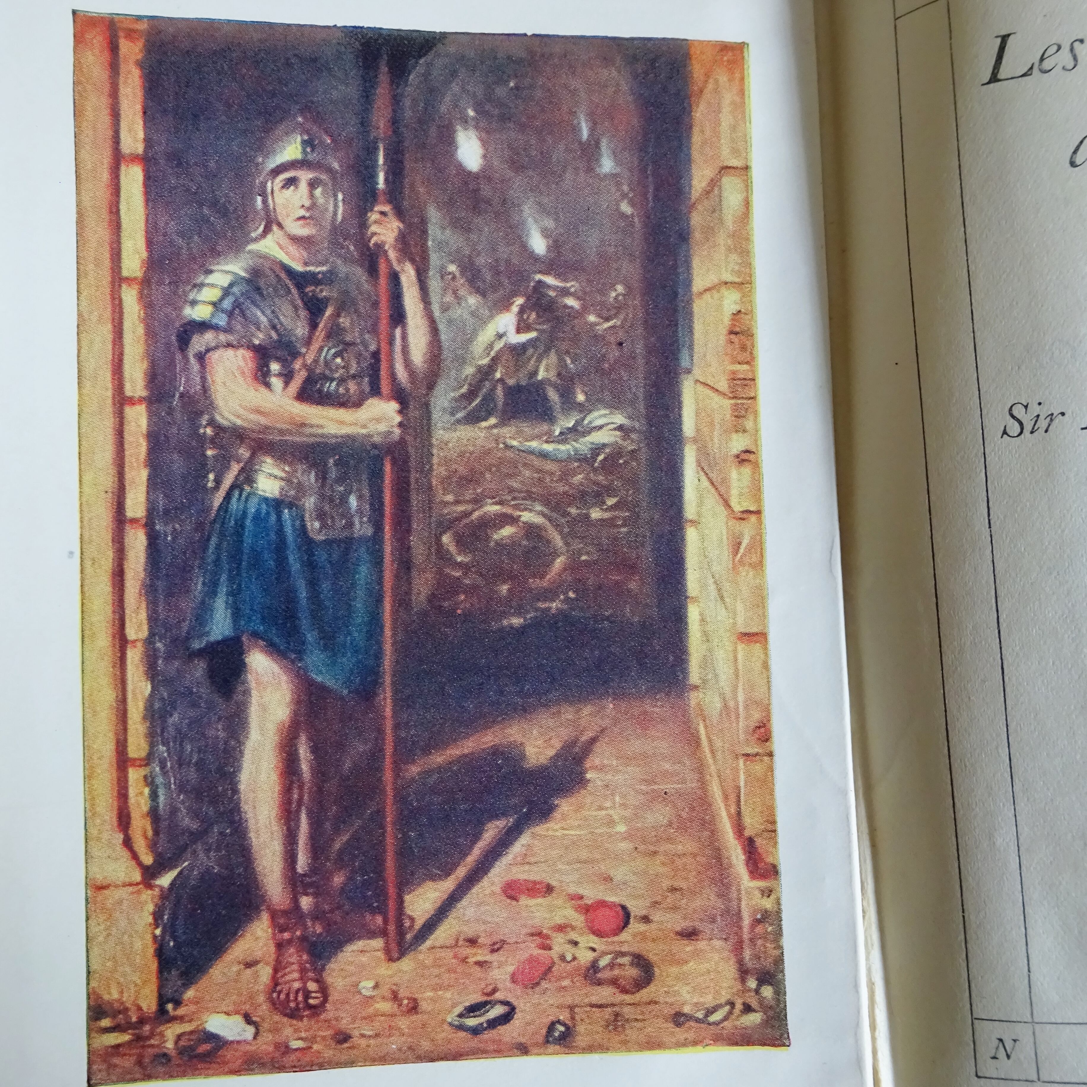 Livres anciens 《NELSON》Lettres dorées＊Nの本