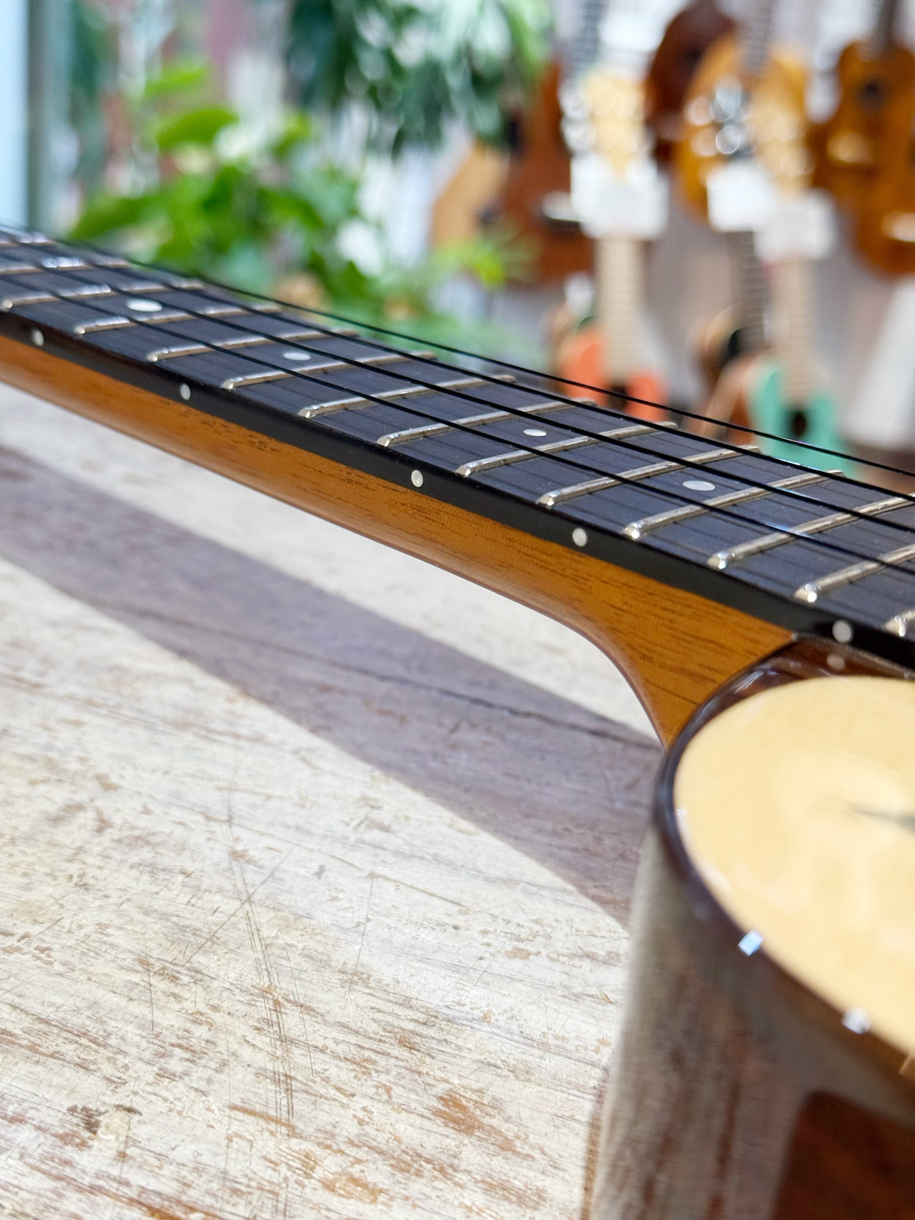 aNuenue アヌエヌエ aNN-UT200HB テナー ウクレレ ハミング