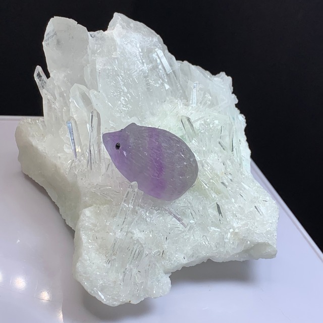 1.フローライトハリネズミが住み着いている水晶クラスター