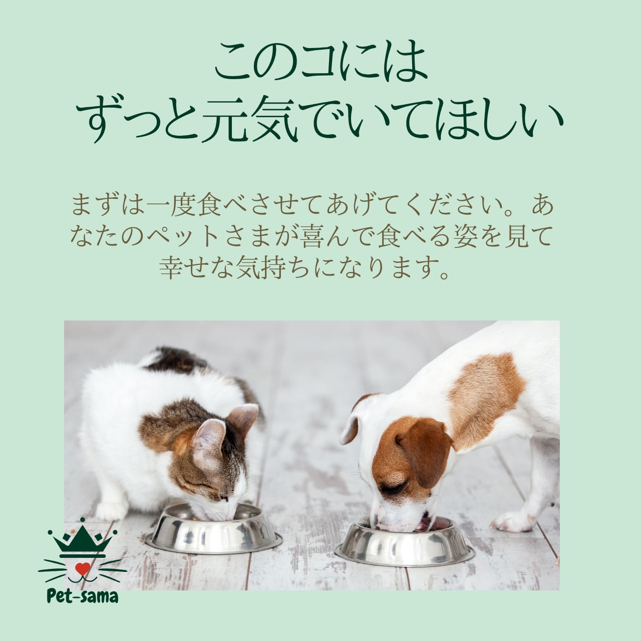 鹿だけ　鹿肉の水煮　80g×1袋　くいしんぼペットさまのジビエフード　