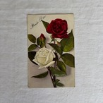 アンティークポストカード　花　彩色カラー　1920-1930年代　使用済み3枚セット 19psa11-3