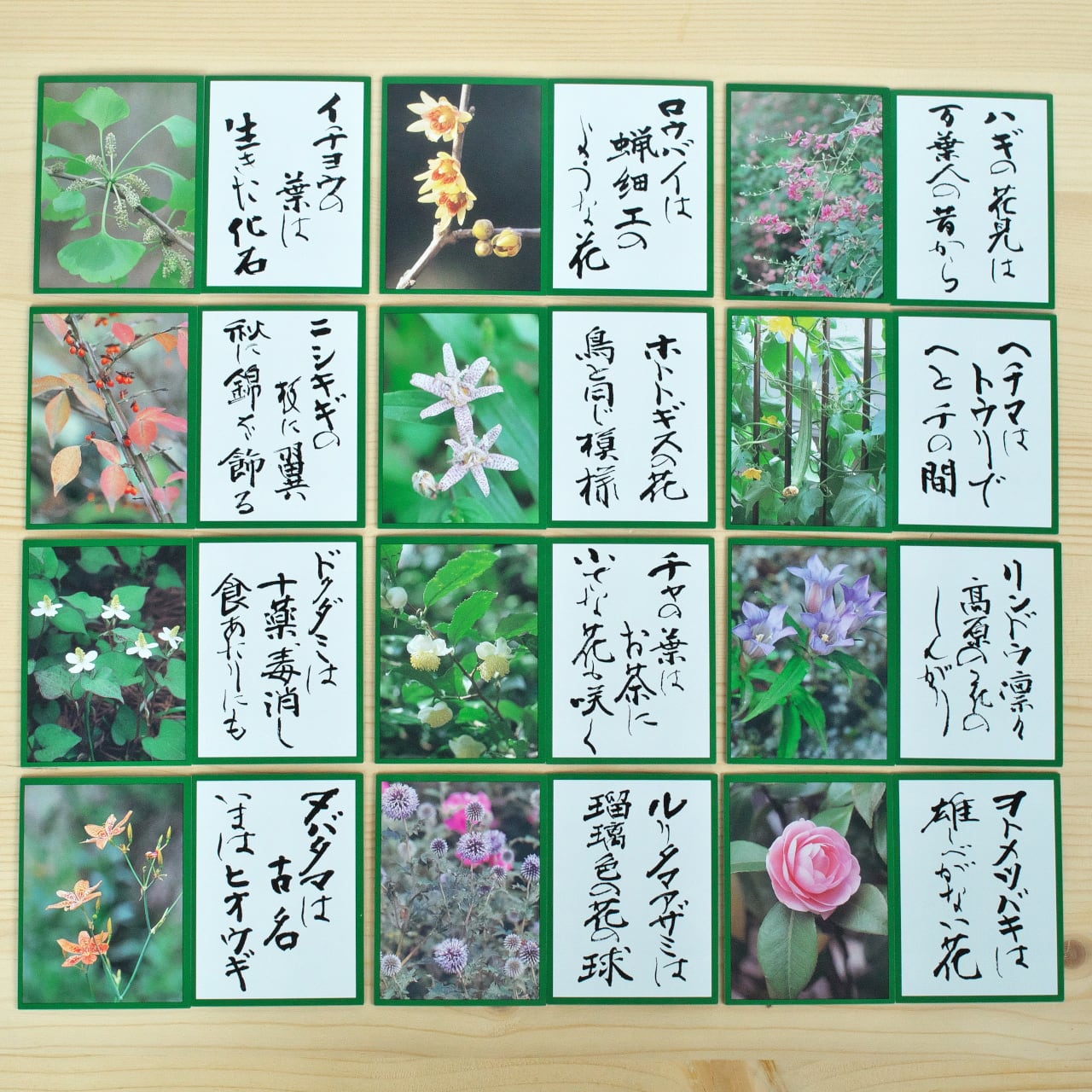 花おりおりかるた | 木のおもちゃ専門店 おもちゃ箱 イカロス 公式