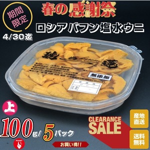 ウニ 北海道根室産 ロシアバフン塩水ウニ 上品 100g/5P 産地直送 送料無料