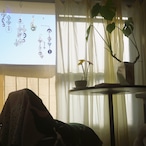 Libra M - Golden Moonlight / リブラ / Light Healing Crystal Suncatcher